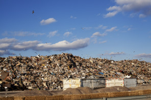 The Ruined of Rockaway